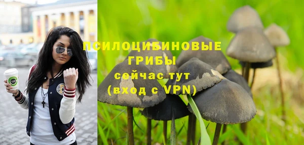 прущая мука Белокуриха