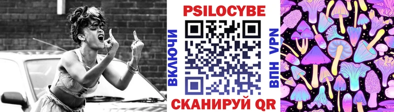 Галлюциногенные грибы Psilocybine cubensis  как найти   Курильск 