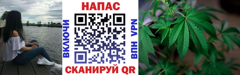 Конопля индика  гидра ссылка  Курильск  магазин продажи наркотиков 